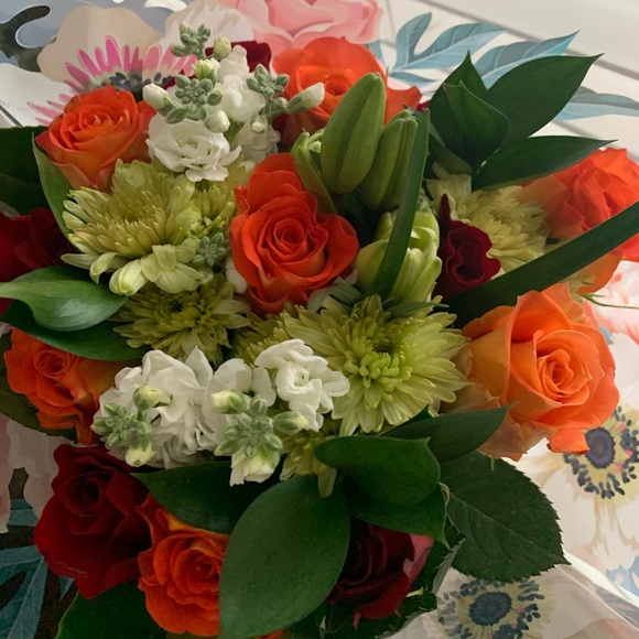 Meet your Posher, Hannah - Picture 1 of 1